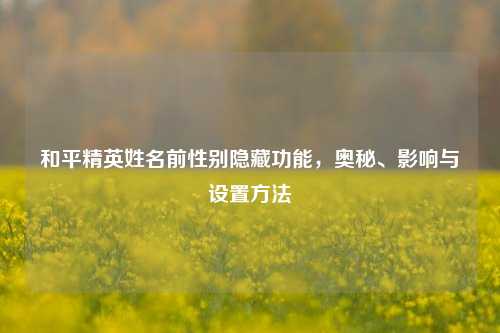 和平精英姓名前性别隐藏功能,奥秘、影响与设置方法