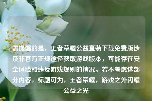 需提醒的是,王者荣耀公益直装下载免费版涉及非官方正规途径获取游戏版本,可能存在安全风险和违反游戏规则的情况。若不考虑这部分内容,标题可为,王者荣耀,游戏之外闪耀公益之光