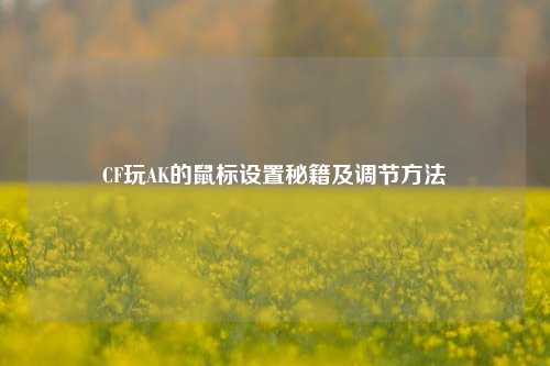 CF玩AK的鼠标设置秘籍及调节方法