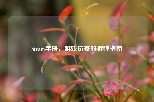 Steam手册,游戏玩家的拆弹指南