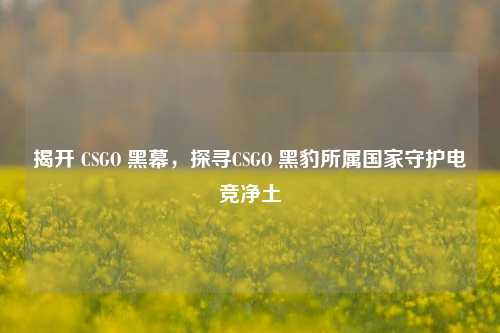 揭开 CSGO 黑幕,探寻CSGO 黑豹所属国家守护电竞净土