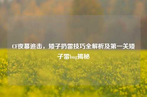 CF夜幕追击,矮子扔雷技巧全解析及第一关矮子雷bug揭秘