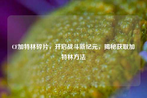 CF加特林碎片,开启战斗新纪元,揭秘获取加特林方法