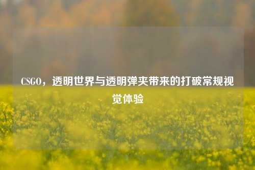 CSGO,透明世界与透明弹夹带来的打破常规视觉体验