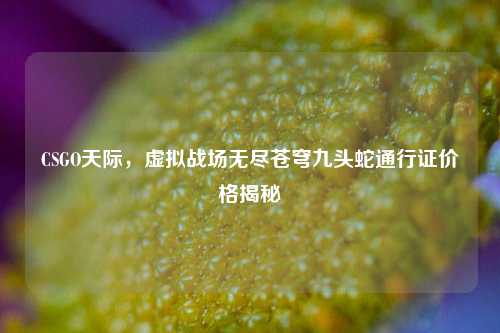 CSGO天际,虚拟战场无尽苍穹九头蛇通行证价格揭秘