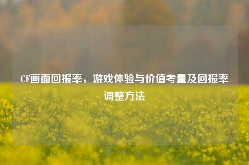 CF画面回报率,游戏体验与价值考量及回报率调整方法
