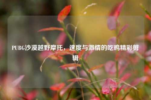 PUBG沙漠越野摩托，速度与激情的吃鸡精彩剪辑