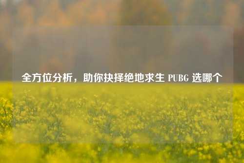 全方位分析,助你抉择绝地求生 PUBG 选哪个