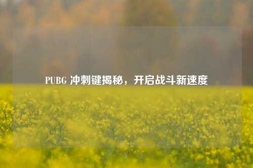 PUBG 冲刺键揭秘,开启战斗新速度