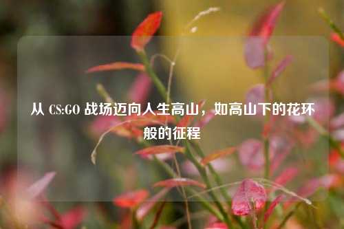 从 CS:GO 战场迈向人生高山，如高山下的花环般的征程