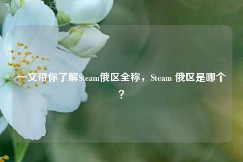 一文带你了解Steam俄区全称，Steam 俄区是哪个？