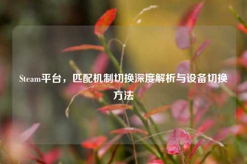Steam平台，匹配机制切换深度解析与设备切换方法
