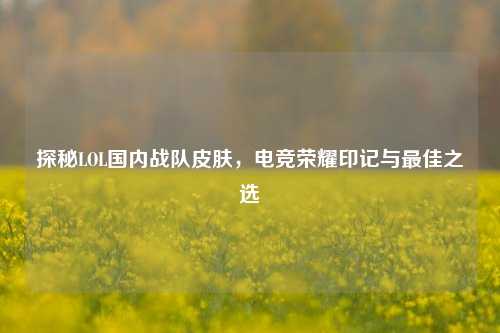 探秘LOL国内战队皮肤,电竞荣耀印记与最佳之选