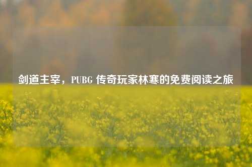 剑道主宰,PUBG 传奇玩家林寒的免费阅读之旅