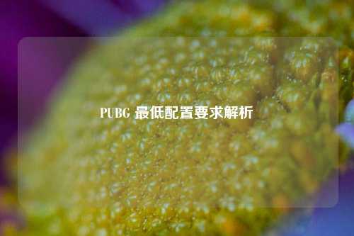 PUBG 最低配置要求解析