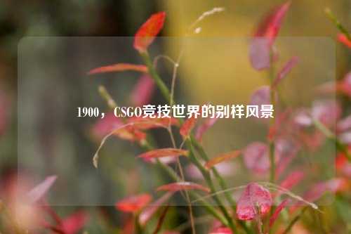 1900,CSGO竞技世界的别样风景