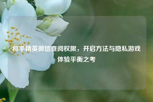 和平精英微信查阅权限,开启方法与隐私游戏体验平衡之考