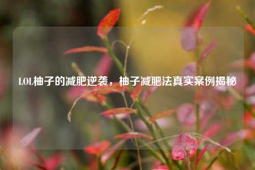 LOL柚子的减肥逆袭,柚子减肥法真实案例揭秘