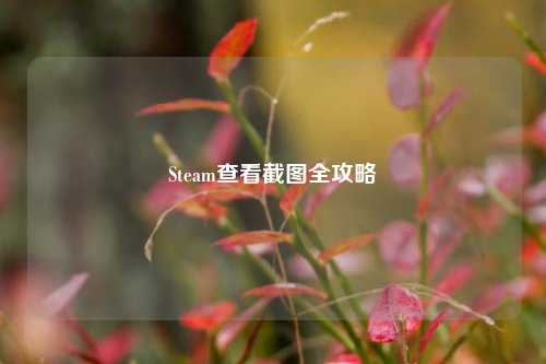 Steam查看截图全攻略