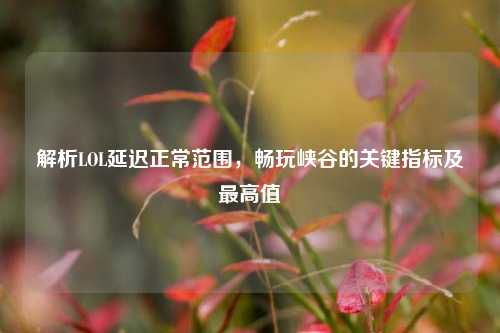 解析LOL延迟正常范围,畅玩峡谷的关键指标及最高值
