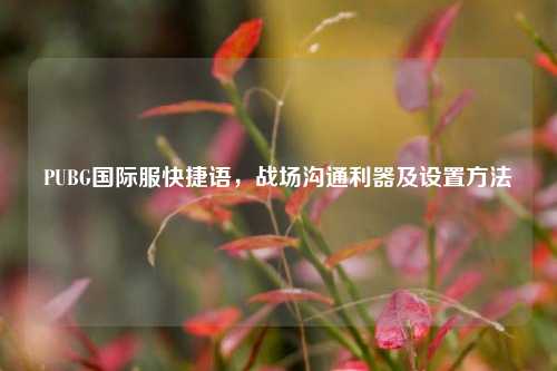 PUBG国际服快捷语,战场沟通利器及设置方法
