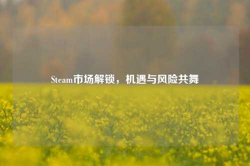 Steam市场解锁,机遇与风险共舞