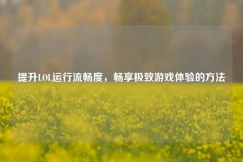 提升LOL运行流畅度,畅享极致游戏体验的方法