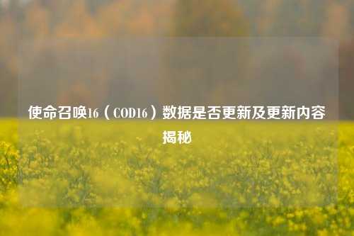 使命召唤16(COD16)数据是否更新及更新内容揭秘