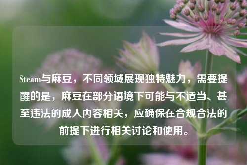 Steam与麻豆，不同领域展现独特魅力，需要提醒的是，麻豆在部分语境下可能与不适当、甚至违法的成人内容相关，应确保在合规合法的前提下进行相关讨论和使用。