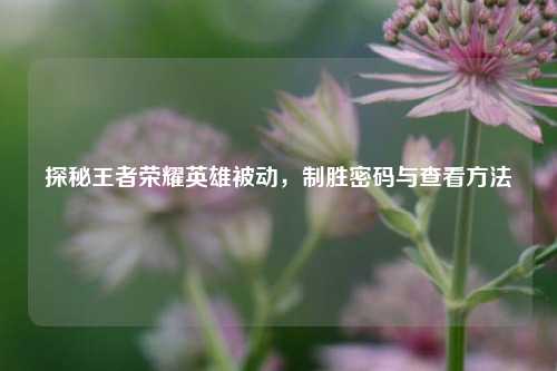 探秘王者荣耀英雄被动,制胜密码与查看方法