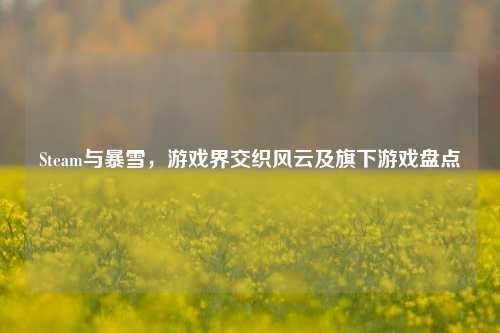 Steam与暴雪,游戏界交织风云及旗下游戏盘点