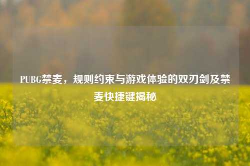 PUBG禁麦,规则约束与游戏体验的双刃剑及禁麦快捷键揭秘
