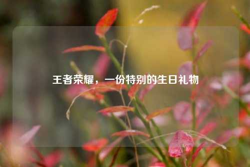 王者荣耀,一份特别的生日礼物