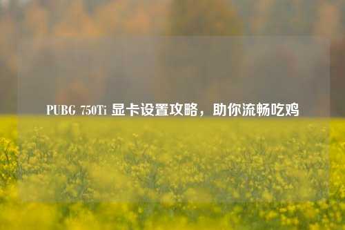 PUBG 750Ti 显卡设置攻略，助你流畅吃鸡