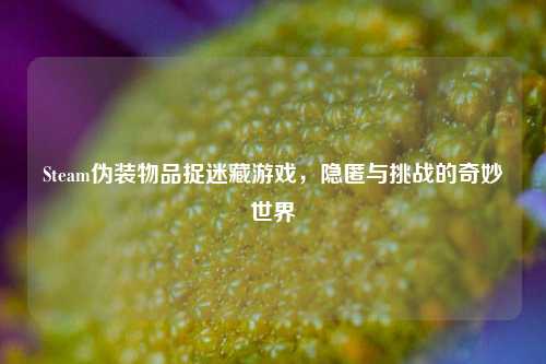 Steam伪装物品捉迷藏游戏,隐匿与挑战的奇妙世界