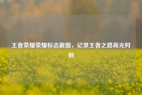 王者荣耀荣耀标志截图,记录王者之路高光时刻