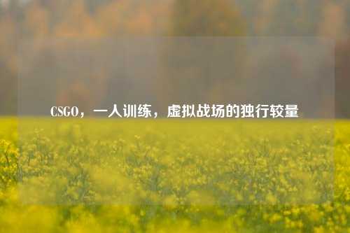 CSGO,一人训练,虚拟战场的独行较量