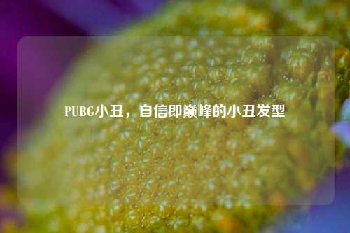 PUBG小丑,自信即巅峰的小丑发型