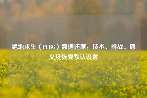 绝地求生(PUBG)数据还原,技术、挑战、意义及恢复默认设置