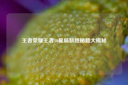 王者荣耀王者10星局制胜秘籍大揭秘