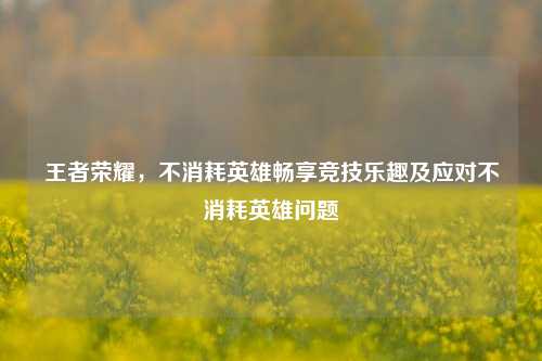 王者荣耀,不消耗英雄畅享竞技乐趣及应对不消耗英雄问题