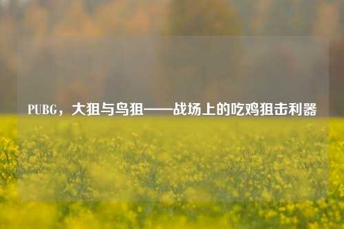 PUBG,大狙与鸟狙——战场上的吃鸡狙击利器