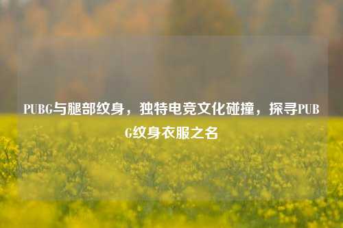 PUBG与腿部纹身,独特电竞文化碰撞,探寻PUBG纹身衣服之名