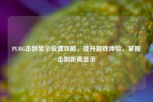 PUBG击倒显示设置攻略,提升游戏体验,掌握击倒距离显示