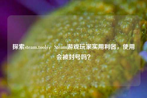 探索steam.tools,Steam游戏玩家实用利器,使用会被封号吗?