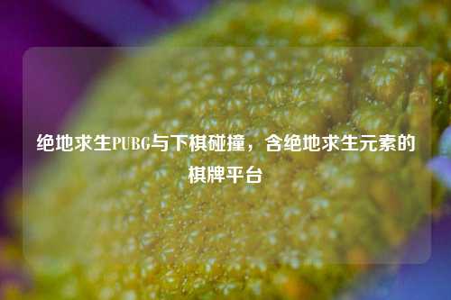 绝地求生PUBG与下棋碰撞,含绝地求生元素的棋牌平台
