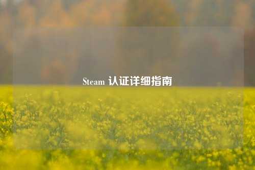 Steam 认证详细指南