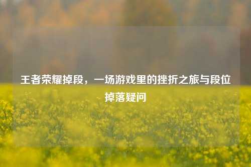 王者荣耀掉段,一场游戏里的挫折之旅与段位掉落疑问