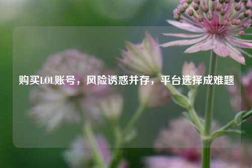 购买LOL账号,风险诱惑并存,平台选择成难题