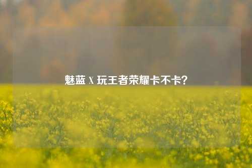魅蓝 X 玩王者荣耀卡不卡?